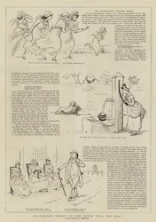 Goldsmiths Elegie auf den Tod eines verrückten Hundes